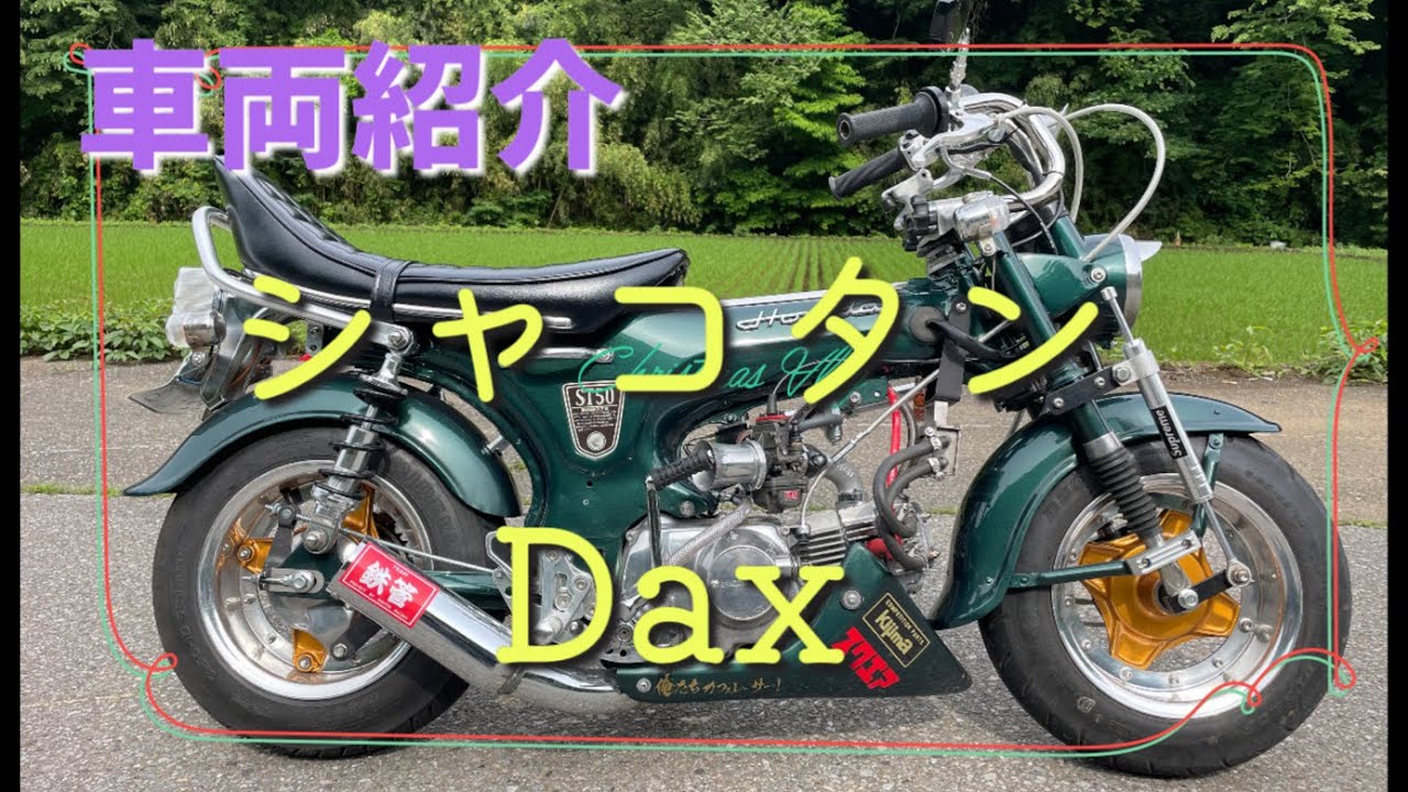 【車両紹介】シャコタン初期型ダックスのご紹介！＃4mini#dax＃ダックス＃モンキー＃シャリー