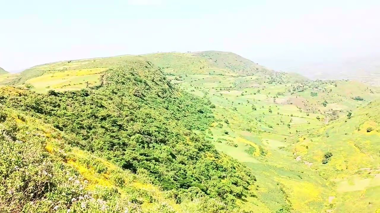ወርቃለም  ሀገሬ ሲሳይ ደሞዝ Workalem hagere sisay demoz