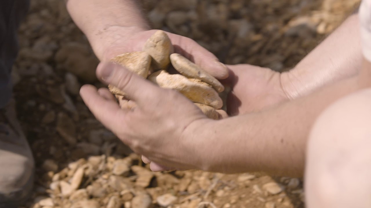 Film appellation Vacqueyras