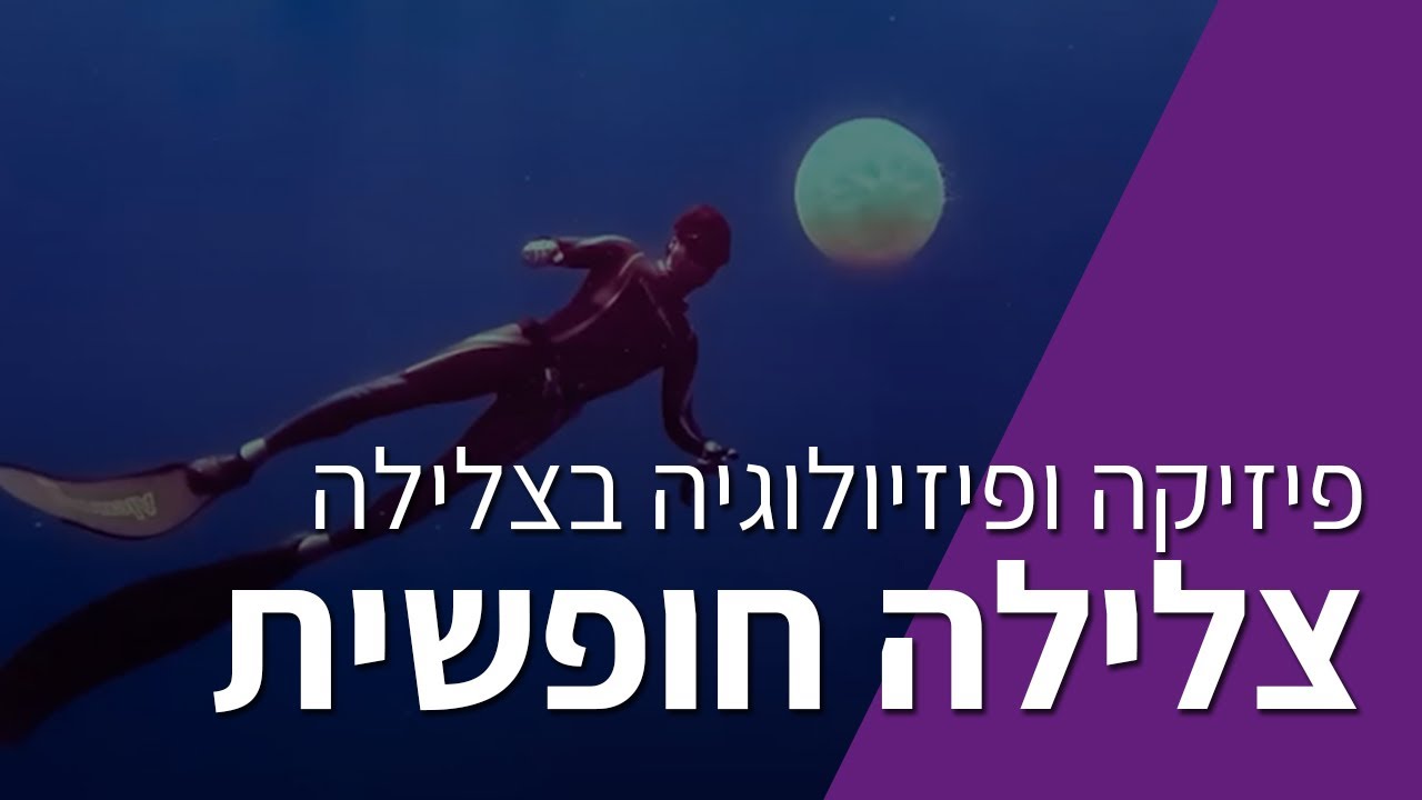 צלילה חופשית - תום פלד