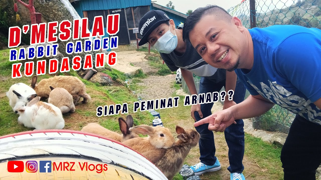VLOG | D'MESILAU RABBIT GARDEN | KUNDASANG | SABAH | MALAYSIA