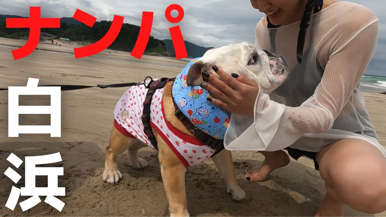 【下心】ナンパな愛犬&動機不純なパパ、ママに内緒で美女探し旅行に行った結果がこちら！