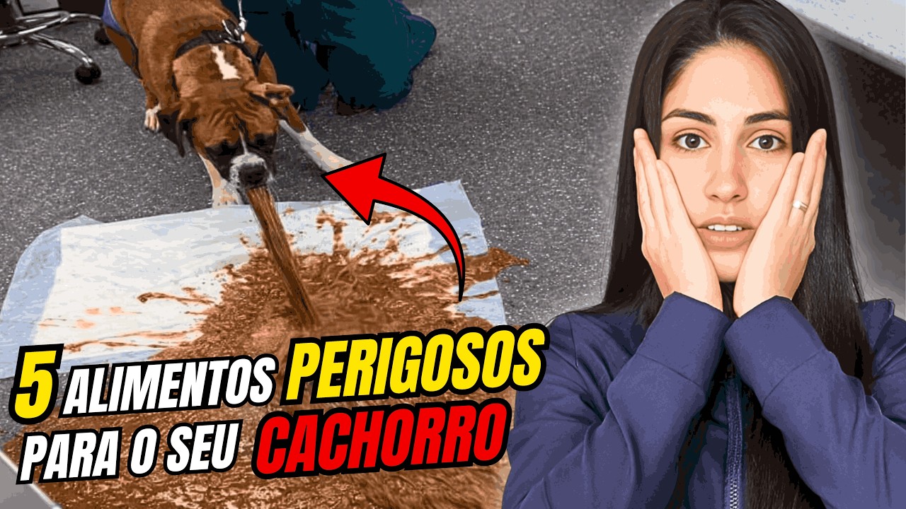 NÃO IGNORE ISSO! 5 Alimentos FATAIS Que Todo Dono de Cachorro Precisa Conhecer