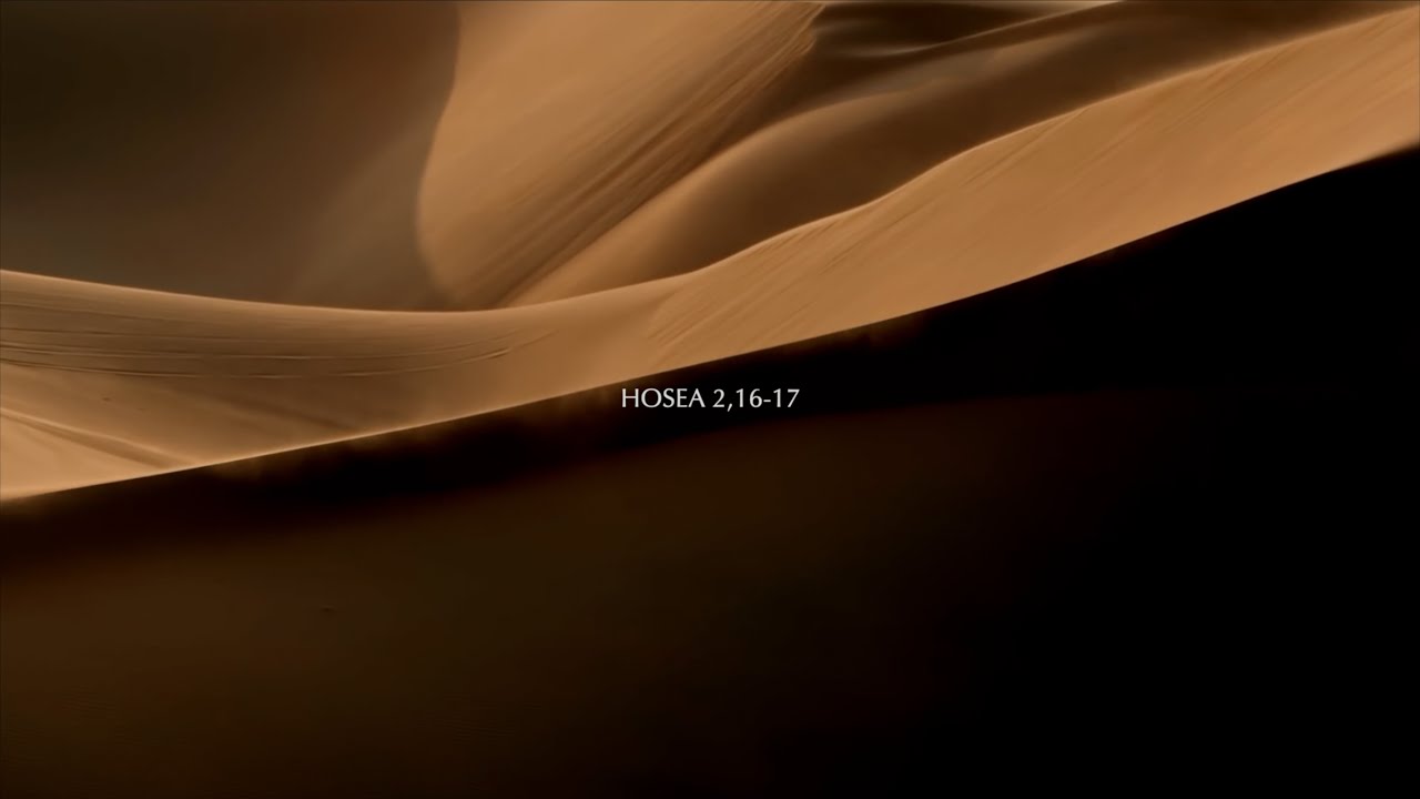 W&Uuml;STENHEIL | NEW ALBUM | 15/09/23