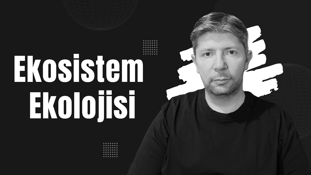 Ekosistem Ekolojisi #biyoloji #tytbiyoloji #sarmalbiyoloji #tyt