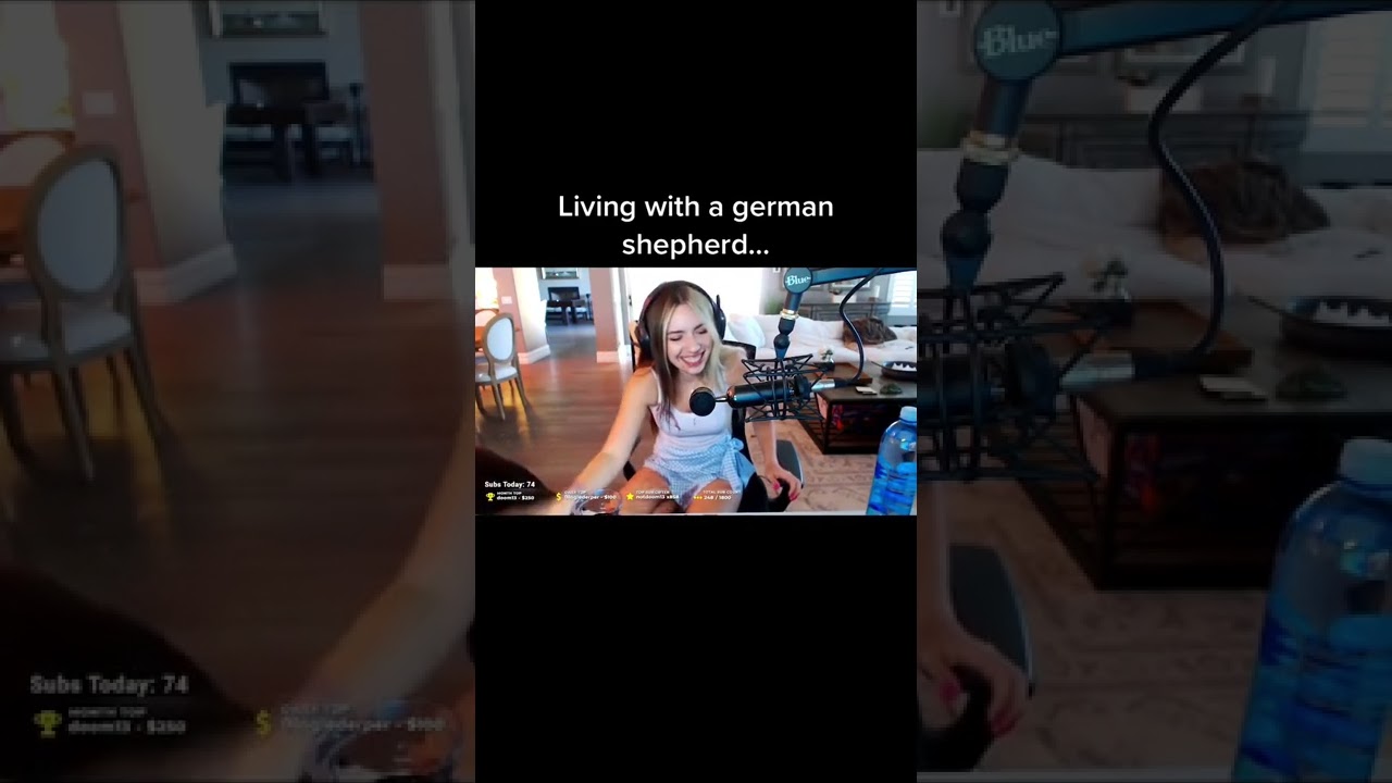 BEST FUNNY VIDEO