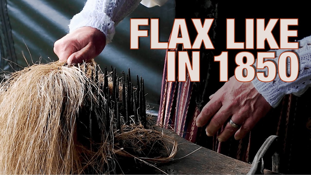 Traditional Flax Processing & Spinning on a Vintage Wheel #flaxspinning
