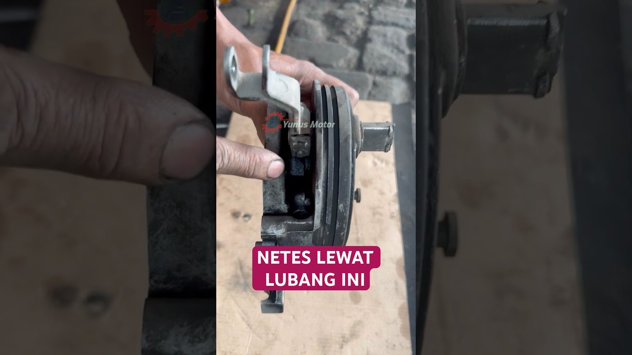 Penyebab oli netes dari bawah rem belakang