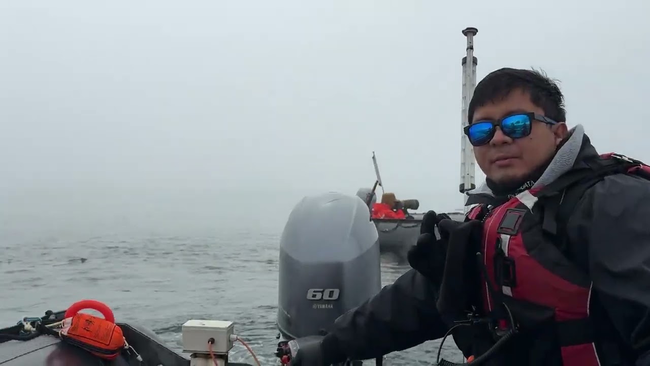 Foogy morning in Antarctica