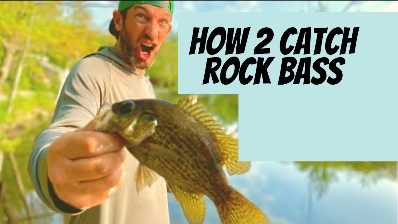 Three Lures That Catch Rock Bass, For Beginners