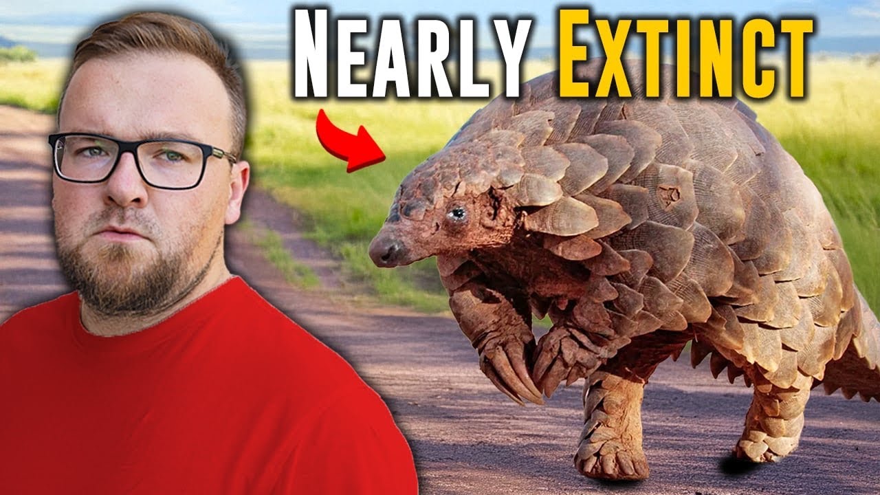 Searching For South Africas Rarest Animal | Day 1