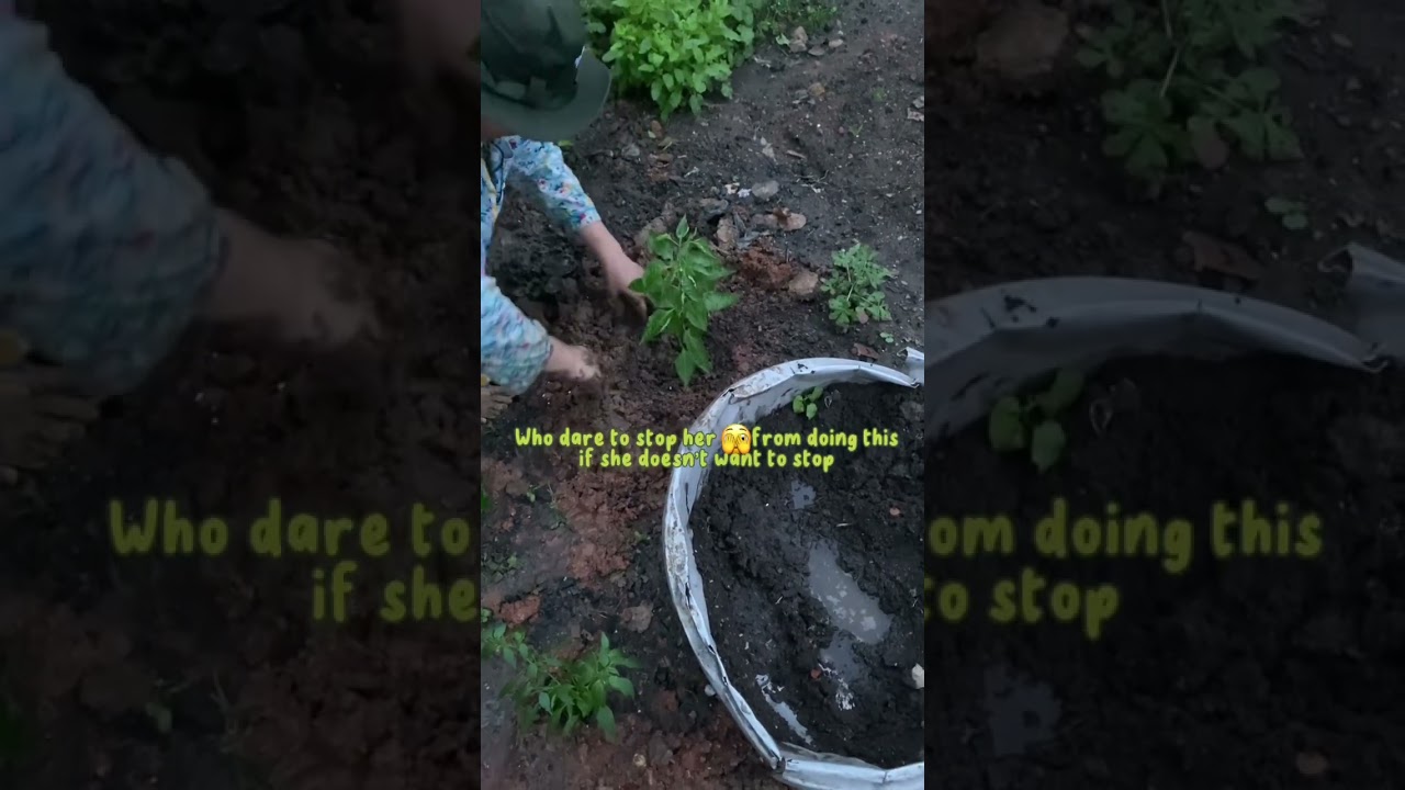 Countryside Life Part2 | we plant some vegetables instead of buying#lifestyle #countryside #歌ってみた