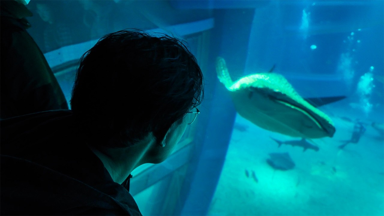 Inside the LARGEST Aquarium in Japan! (Osaka Aquarium Kaiyukan) 🇯🇵