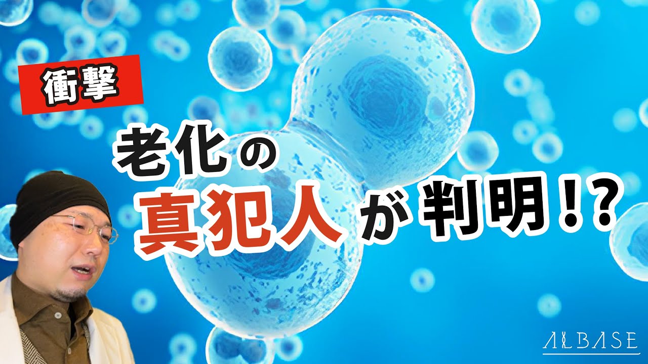 【真実】歳を重ねても肌がキレイな人と老ける人の違いとは？ー肌老化の本質は幹細胞の減少ー【京大開発者が解説】