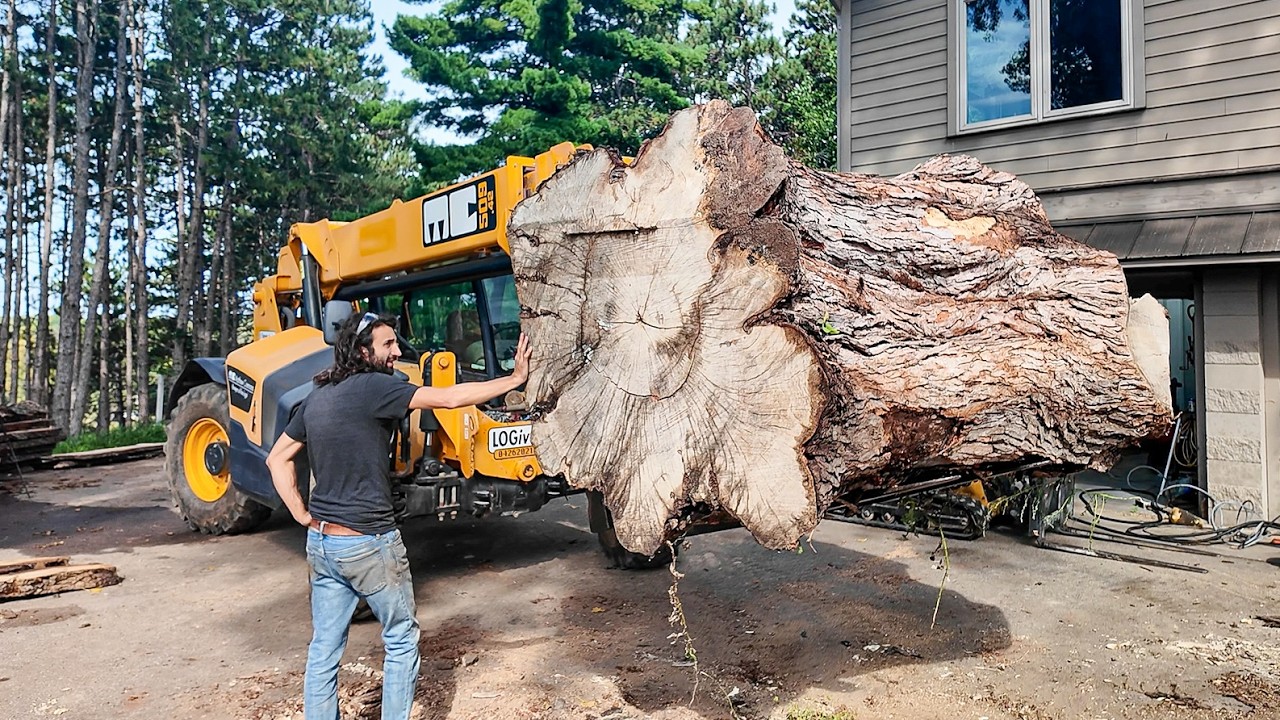 This Log Had It All