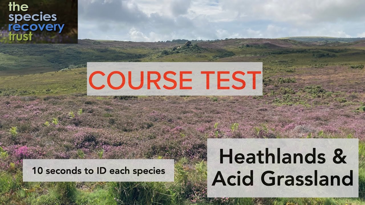 Heathlands test
