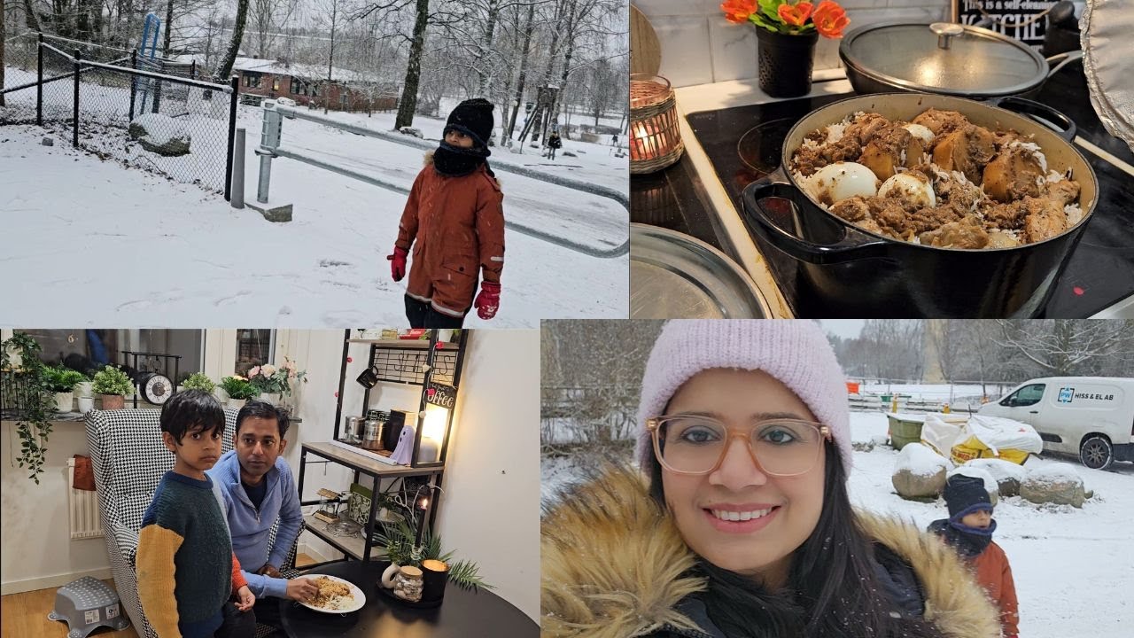 সুইডেনে বরফে ঢাকা পরিবেশে কনকনে ঠান্ডায় আমাদের জীবন কোলকাতার গরম থেকে ফিরেই #sweden