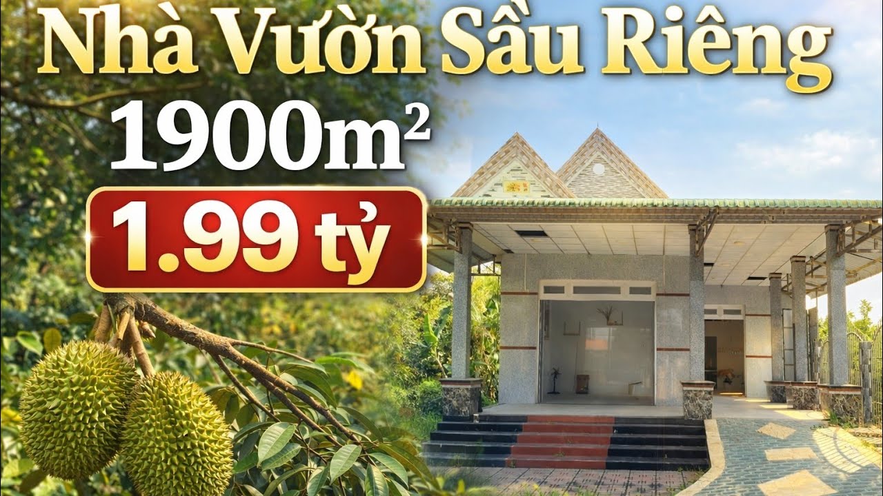 Tập 3885 | Chủ Bán Gấp! Nhà Vườn Sầu Riêng Có Thu Nhập Sẵn 