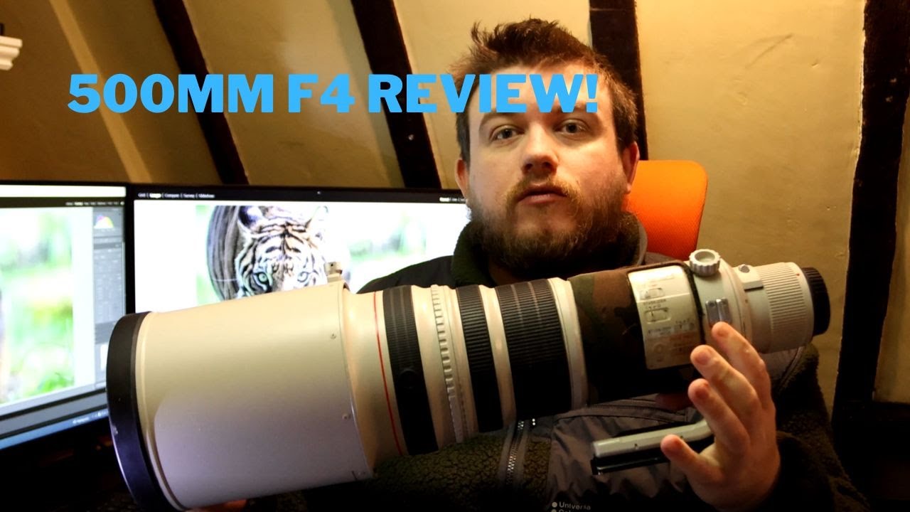 Обзор Canon EF 500mm f4 L — с примерами изображений