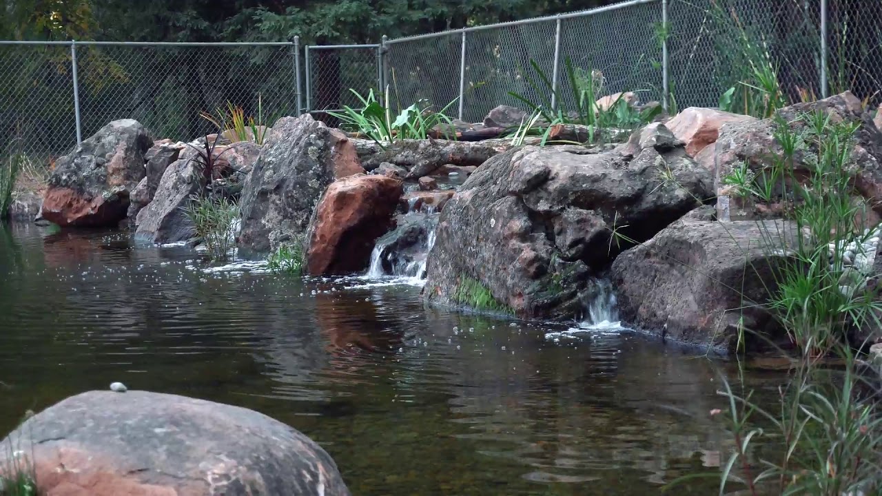 Recreational Pond in California!! | California AquaPros