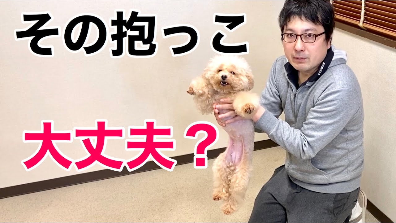 【犬の正しい抱っこの仕方】をペットショップ店長が解説します