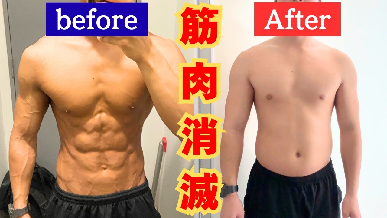 【検証】筋トレを3ヶ月休んだら筋肉はどれくらい落ちる？