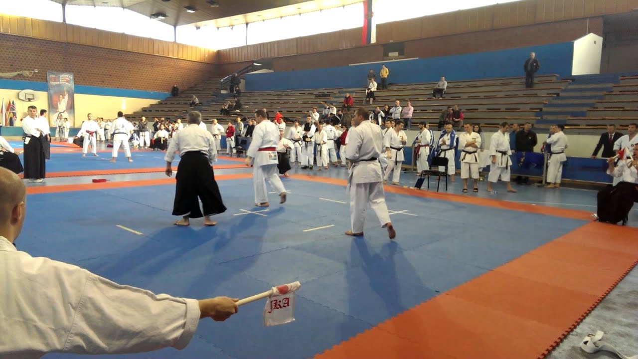 Kumite Individual Men Seniors, Belgrade 2013