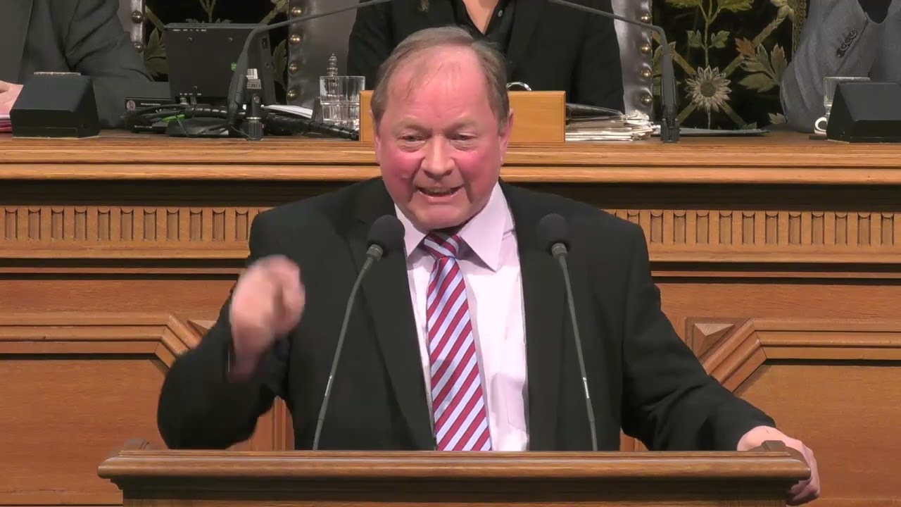 Hamburg - AfD Vorsitzender Dirk Nockemann spricht in der aktuellen Stunde zum Thema: AfD Verbot