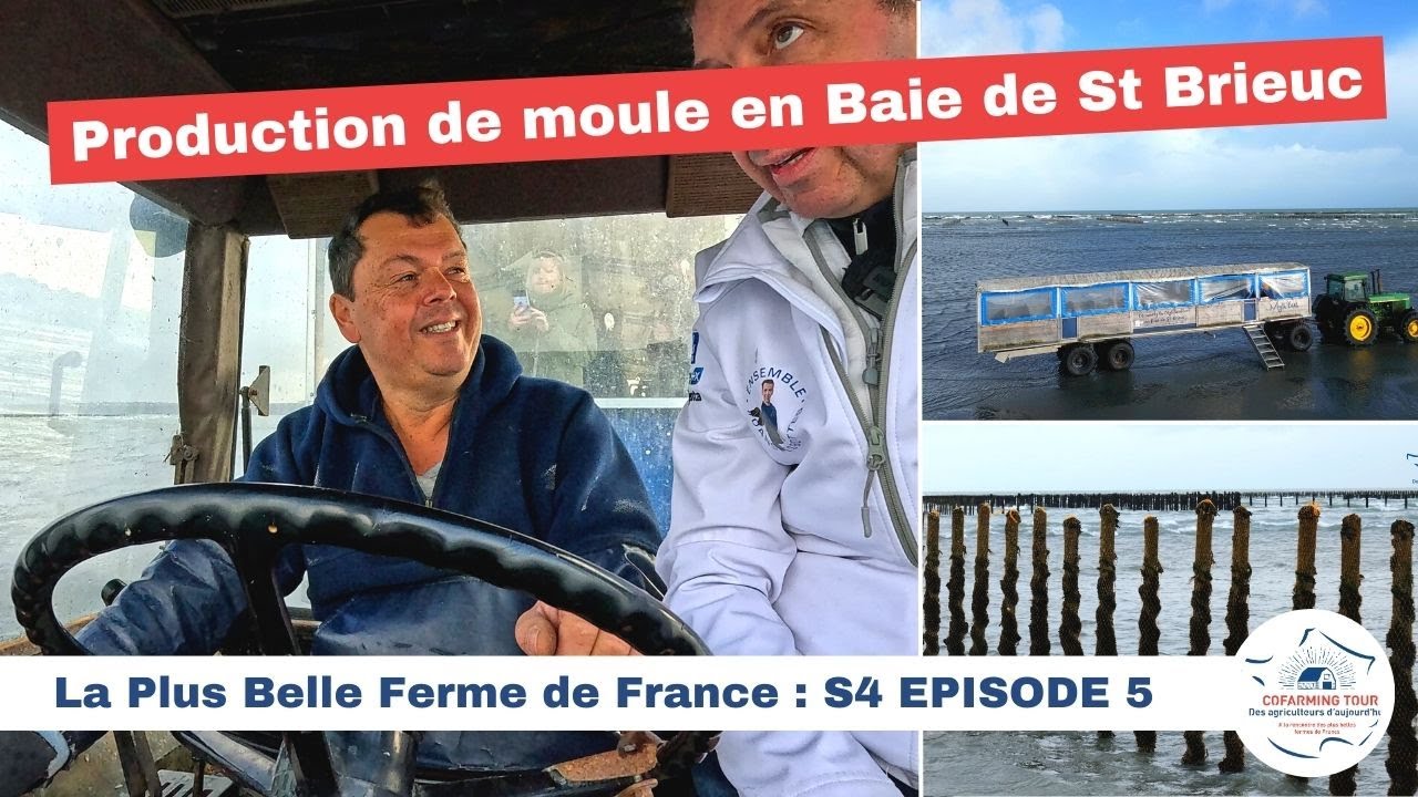Mytilus 🇫🇷 LA PLUS BELLE FERME DE FRANCE