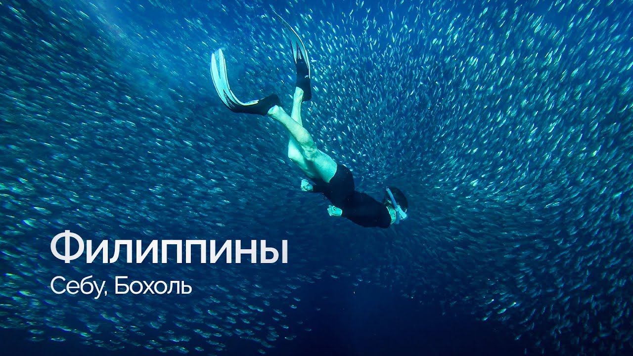 Филиппины. Неделя на Себу и Бохоль. Снорклинг, Водопады, Еда и Цены
