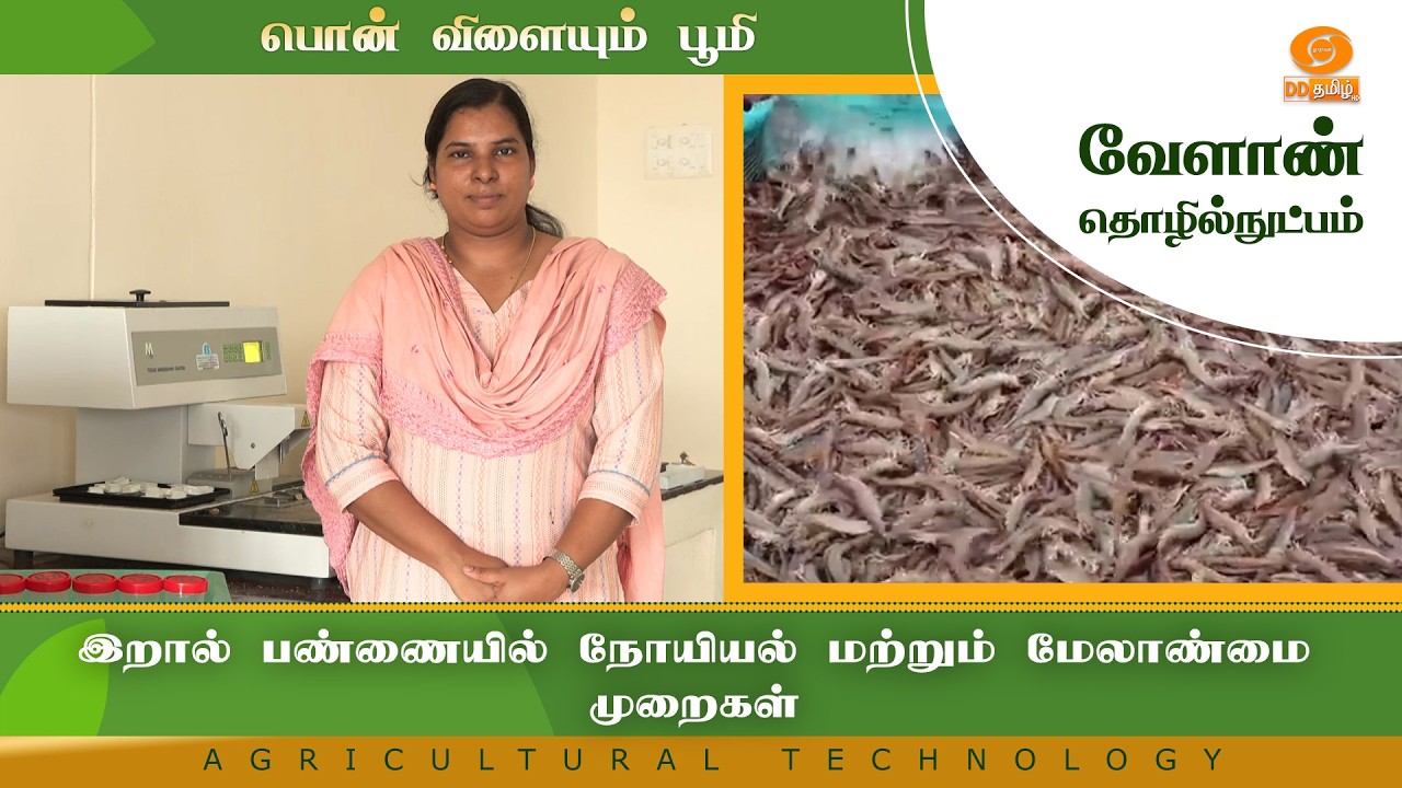 இறால் பண்ணையில் நோயியல் மற்றும் மேலாண்மை முறைகள் | Agriculture Technology