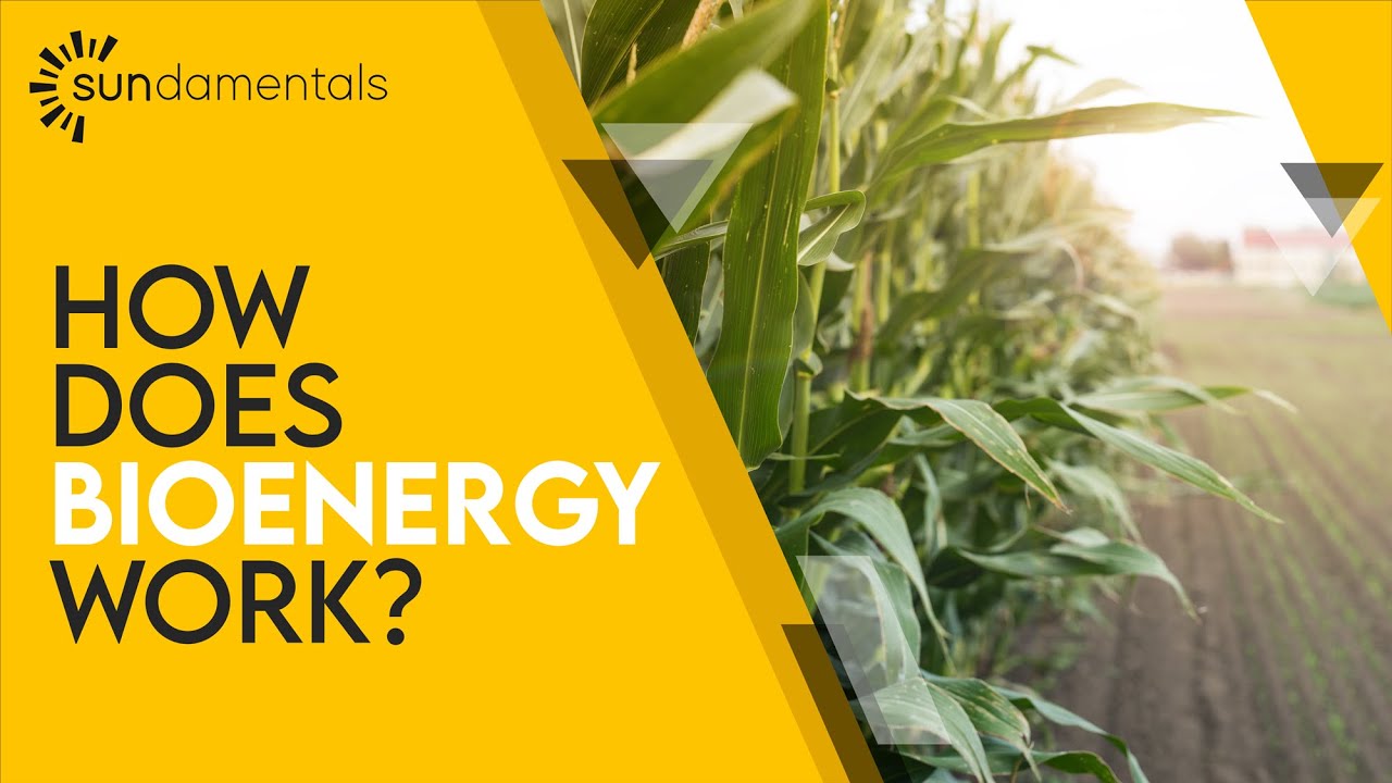 Czym jest bioenergia?