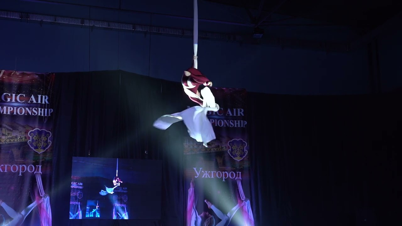 Швед Вікторія напівпрофі 14-17 р повітряні полотна