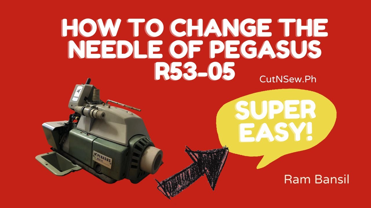 DIY | How to Change Needle of Pegasus R53-05 | Edger | Ram Bansil