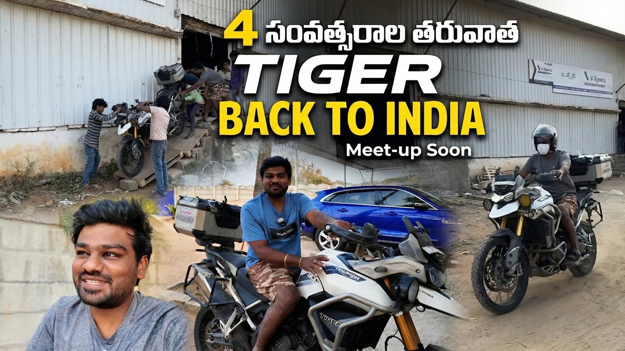 OUR TIGER IS BACK AFTER 4 YEARS @bayyasunnyyadav