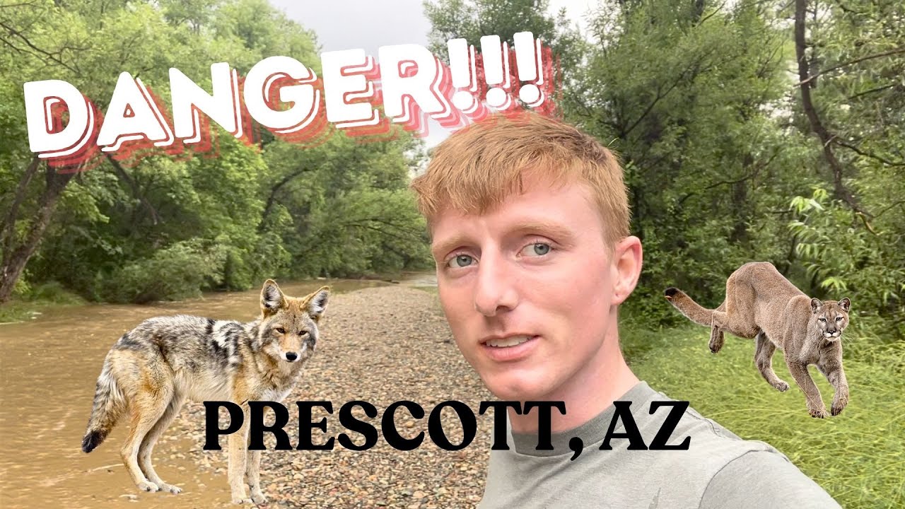 Northern Arizona is Wild!