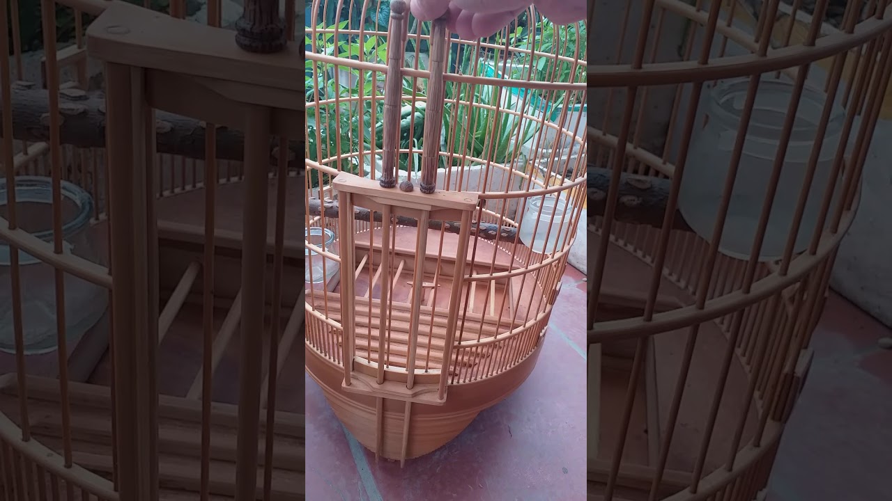 K&iacute;ch cỡ lồng nu&ocirc;i họa mi h&oacute;t