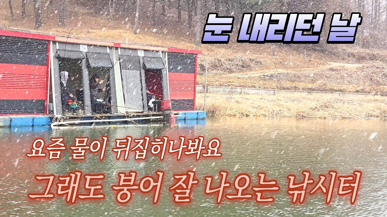 요즘 물이 뒤집히나 봅니다 그래도 붕어 잘 나오는 낚시터-경기 안성 명인낚시터(2026.02.24) #즐낚tv