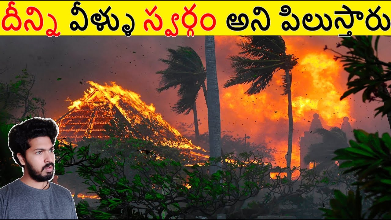 దీన్ని వీళ్ళు ఇక్కడ స్వర్గం అని పిలుస్తారు చూడండి || Amazing Facts Ever Listen Part 185 || ALK Facts
