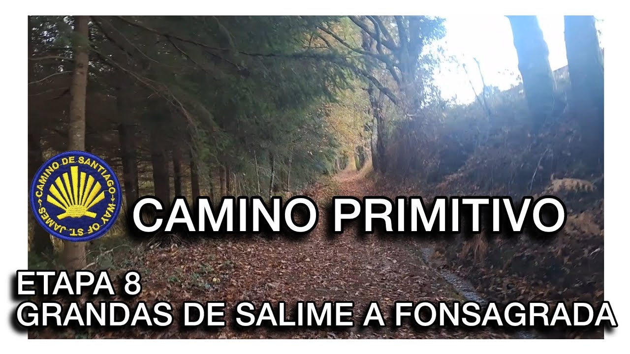 GUÍA: Camino Primitivo (Etapa 8) | Grandas a A Fonsagrada (¡ENTRADA A GALICIA!)