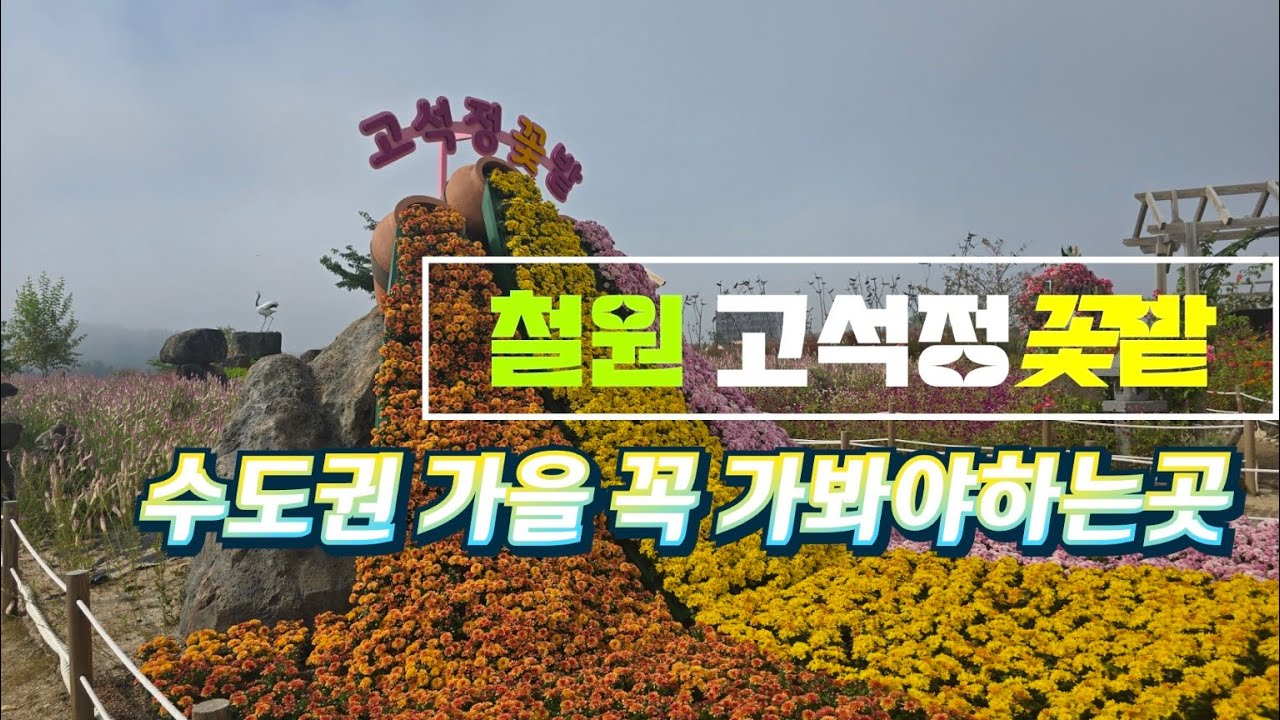 올해에만 200만명이 다녀갔다는 이곳. 고석정꽃밭을 저두 뒤늦게 다녀봅니다만;; 망했어요.