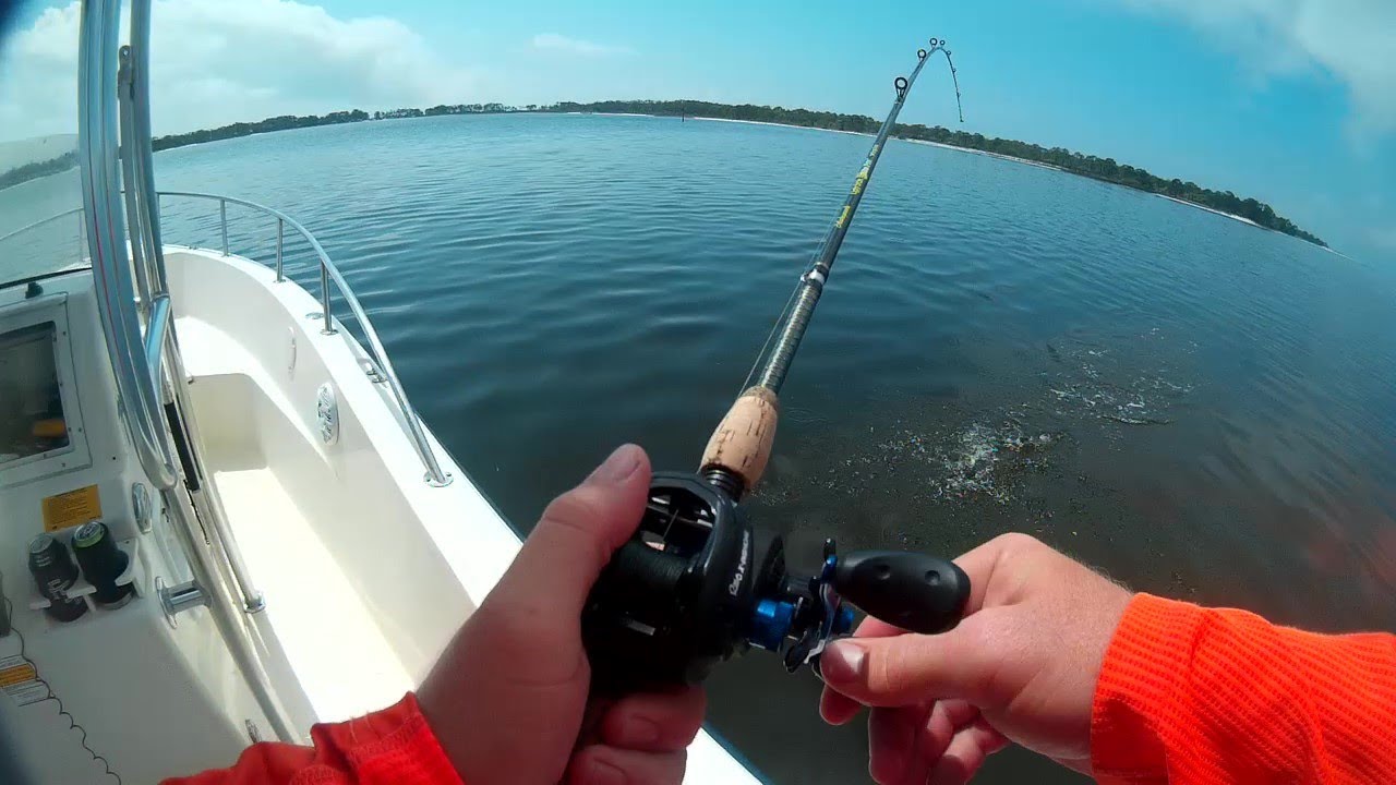 Dog Island - Part 1: Inshore and Surf Fishing