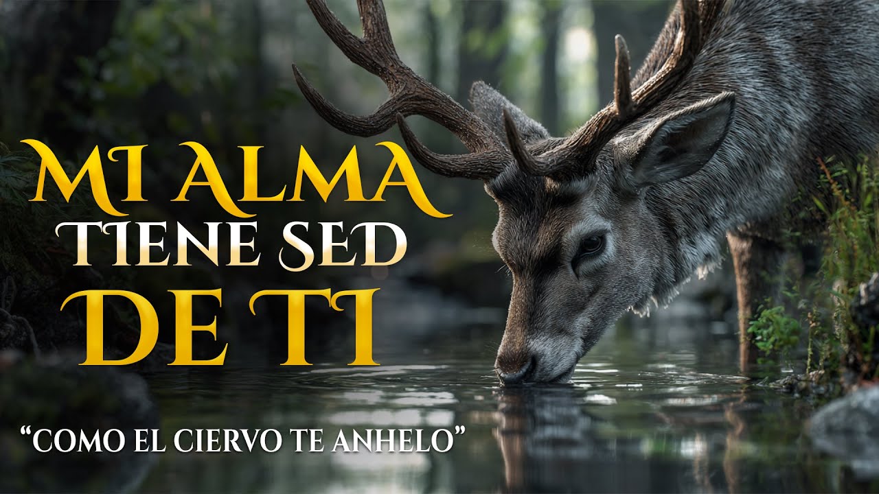 Mi Alma Tiene Sed de Ti | Clamor de un Corazón Sediento | Cántico Inspirada en Salmos 42:2
