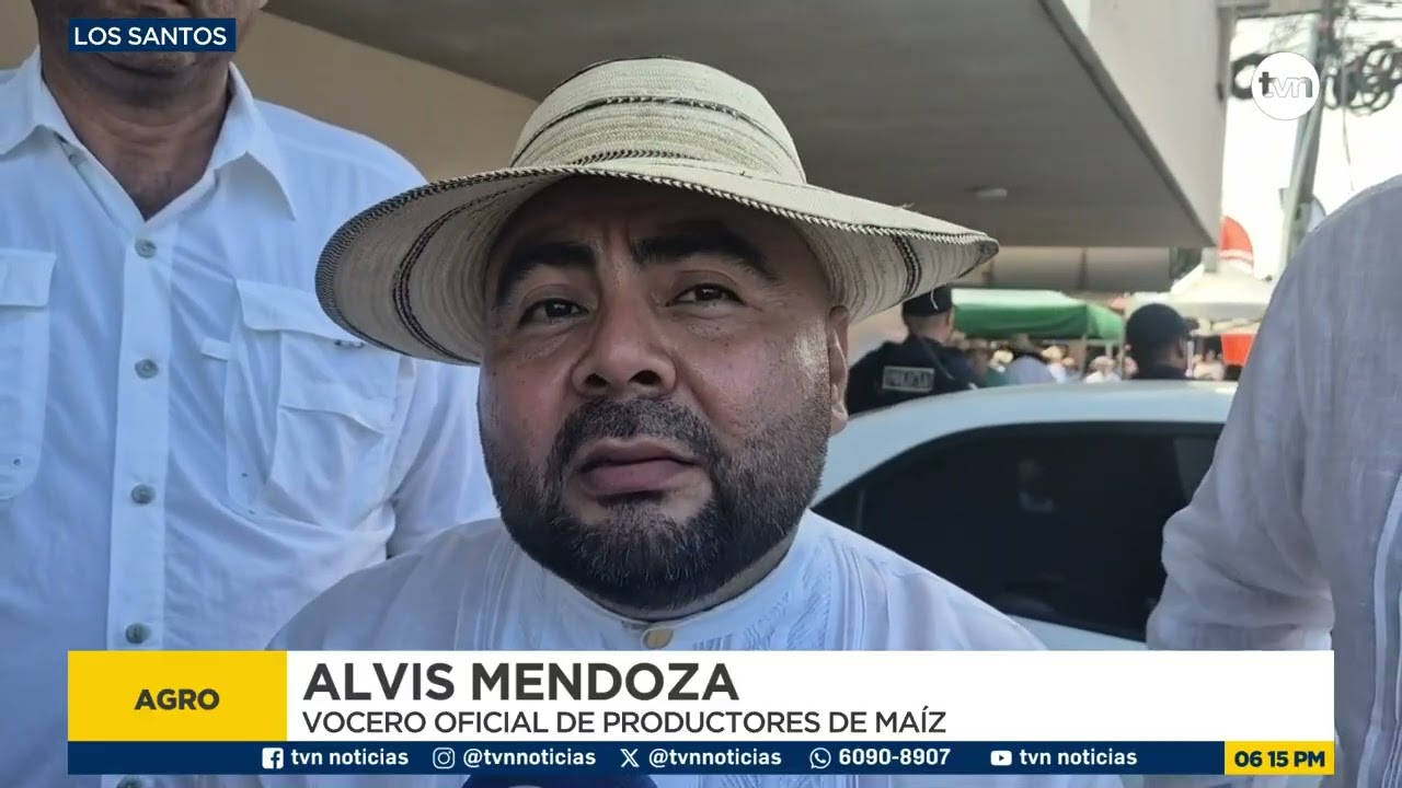 Productores de maíz en Los Santos alertan por caída en áreas de siembra y posible impacto económico