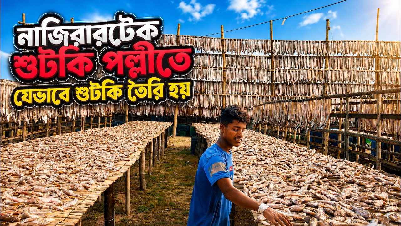বাংলাদেশের সর্ববৃহৎ শুটকি পল্লী || নাজিরার টেক || Najirartek Cox's Bazar || Ruposhi Bangla