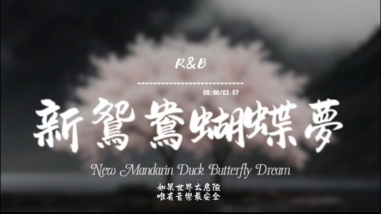 新鴛鴦蝴蝶夢(R&B)/ Haohao |原唱：黃安｜『花花世界鴛鴦蝴蝶 在人間已是癲何苦要上青天 不如溫柔同眠』