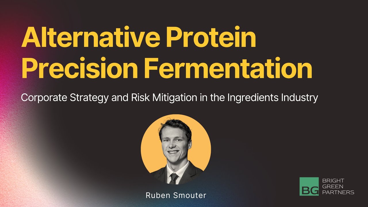Precision Fermentation & Alternative Proteins: Corporate Strategy and Risk Mitigation