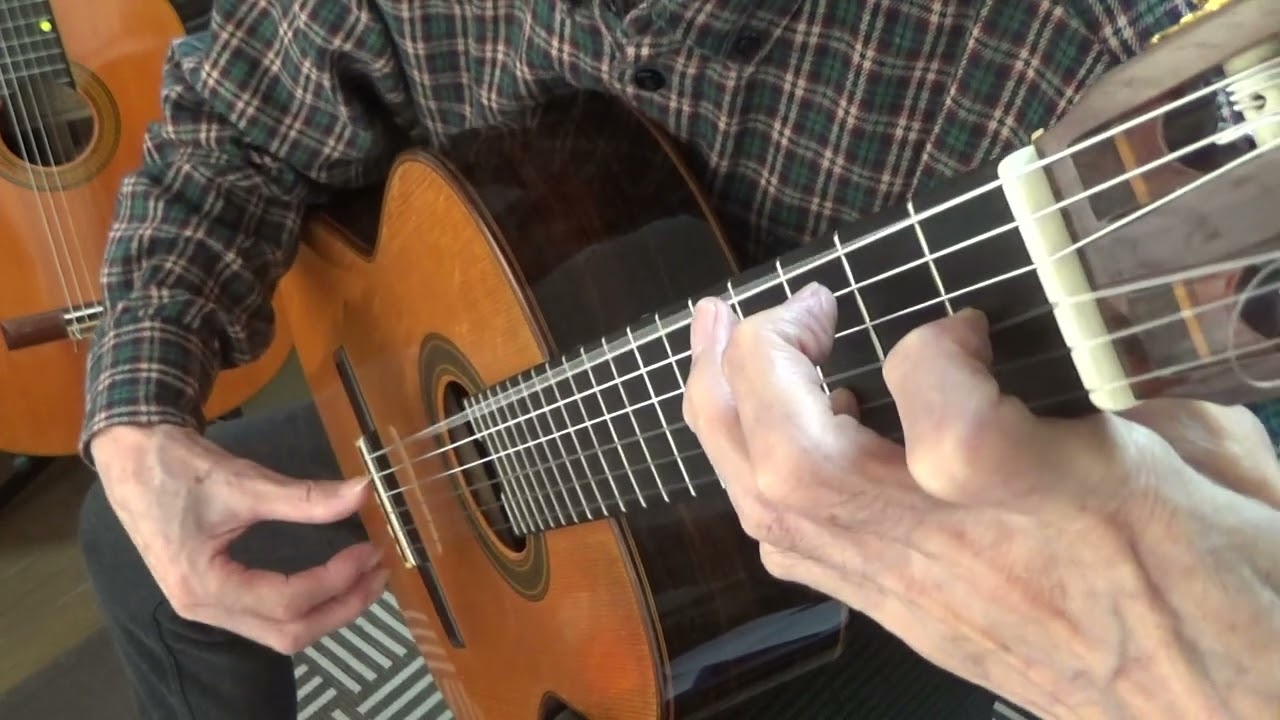 Johann Kaspar Mertz ”Theme and Variations in A-Minor
