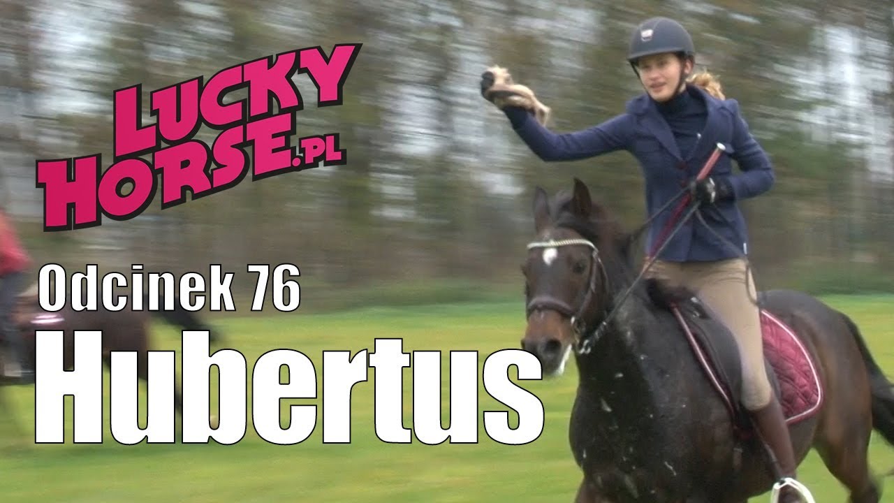 Porady LuckyHorse.pl - odc.76 - Hubertus