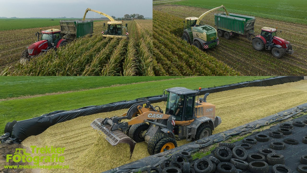 Maïsoogst 23 | Maatschap Hoekstra | Krone | Mc Cormick + Kroger | Chopping Maize | Mais Häckseln